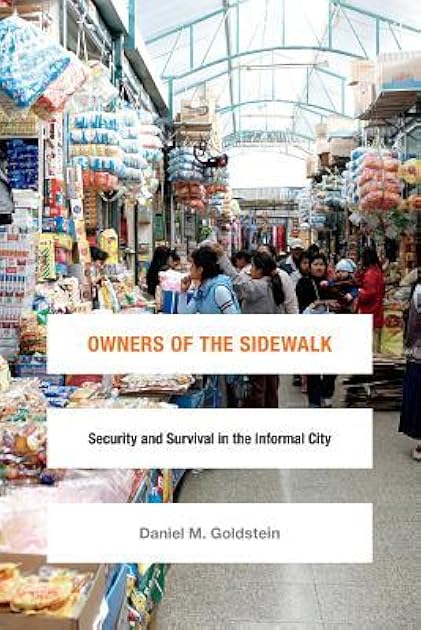 Owners of the Sidewalk: Security and Survival in the Informal City (Global Insecurities)