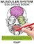 Muscular System Coloring Book: Now you can learn and master the muscular system with ease while having fun