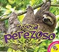 Yo soy el Perezoso / I am a Sloth