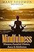 Mindfulness: Mantras, Ascended Masters, Auras and Meditation: Achieve A Higher Consciousness
