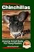 Chinchillas For Kids - Amazing Animal Books For Young Readers