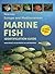 Europe and Mediterranean Marine Fish Identification Guide
