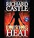 Driving Heat by Richard Castle