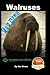 Walruses - For Kids - Amazi...