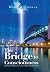 The Bridge to Consciousness: I'm writing the bridge between science and our old and new beliefs.