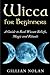 Wicca for Beginners by Gillian Nolan