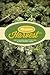 Marijuana Harvest: How to Maximize Quality and Yield in Your Cannabis Garden