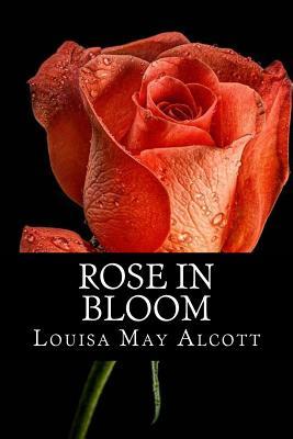Rose in Bloom