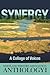Synergy by Maryland Writers Association