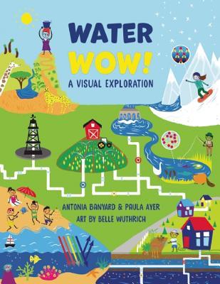 Water Wow!: A Visual Exploration (Hardcover)