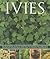 Ivies by Hazel Key