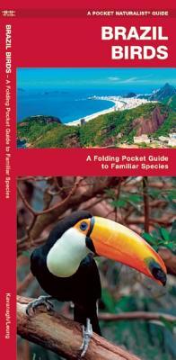 Brazil Birds (Paperback)