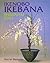 Ikenobo Ikebana: Shimputai Style
