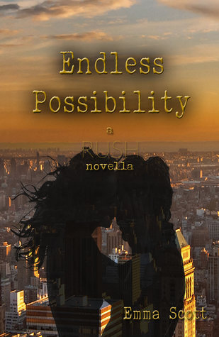 Endless Possibility (City Lights Series, #3.5)