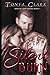 Silent Burn (Sign of Love, #1)