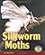 Silkworm Moths (Early Bird Nature Books)