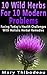 Ten Wild Herbs For Ten Modern Problems by Mary Thibodeau