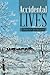 Accidental Lives by David Burger