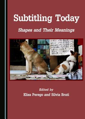 Subtitling Today: Shapes and Their Meanings (Studies in Language and Translation)