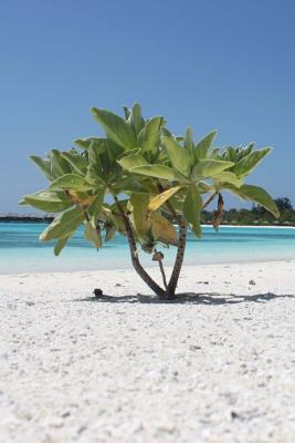 Mind Blowing Maldive Journal: 150 Page Lined Journal (Paperback)