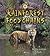 Rainforest Food Chains (Turtleback School & Library Binding Edition)