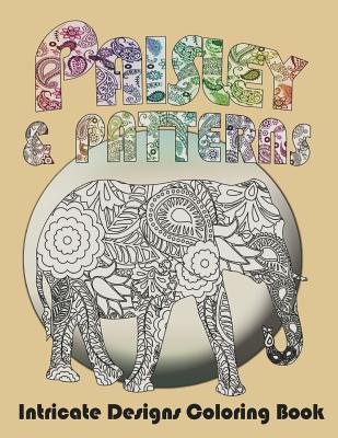 Paisley and Patterns: Intricate Designs Coloring Book (Paperback)