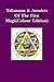 Talismans & Amulets Of The First Magi(Colour Edition)