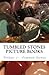 Tumbled Stones Picture Book Volume 1: Common Stones