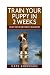 Train Your Puppy In 2 Weeks