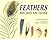 Feathers: Not Just For Flying