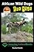 African Wild Dogs For Kids