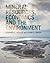 Mineral Resources, Economics and the Environment