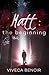 Matt - The Beginning
