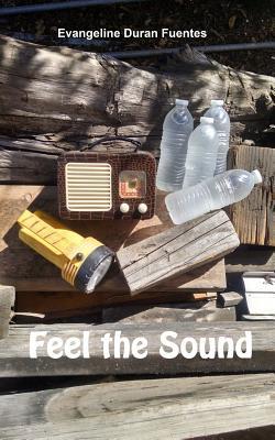 Feel the Sound (Paperback)