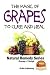 The Magic of Grapes To Cure and Heal