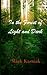 In the Forest of Light and Dark