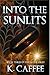 Into the Sunlits (Followers of Torments Book 3)