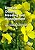 Brassica Oilseeds by Arvind Kumar