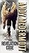 The Revelation Code (Nina W...