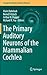 The Primary Auditory Neuron...
