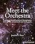 Meet the Orchestra: A guide...