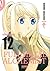 Fullmetal Alchemist Kanzenban 12 (Full Metal Alchemist Kanzenban, #12)