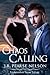 Chaos Calling (Foulweather Twins #2)
