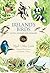 Ireland's Birds – Myths, Legends & Folklore by Niall Mac Coitir