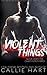 Violent Things (Chaos & Ruin Series)