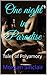 One night in Paradise by Morgan Sinclair