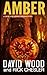 Amber (Dane Maddock Origins #7)