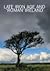 Late Iron Age and Roman Ireland