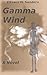 Gamma Wind: A Post-Apocolyptic EMP Novel