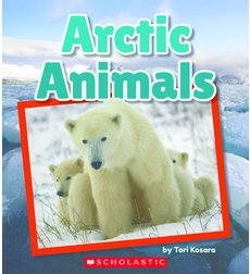 Arctic Animals (Paperback)